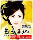 乞丐王妃