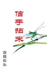 信手拈来txt下载