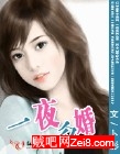 一夜后婚txt下载