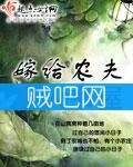 嫁给农夫