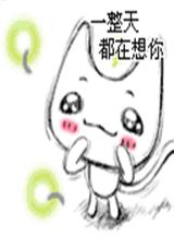 至尊的恩宠txt下载