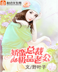 娇蛮总裁的极品老公txt下载