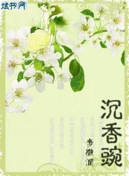 沉香豌txt下载