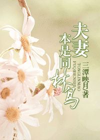 夫妻本是同林鸟txt下载