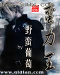 蛮力王txt下载