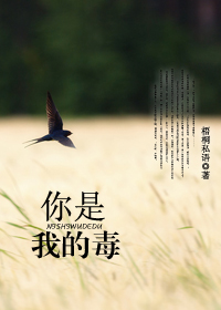 你是我的毒(高干)