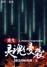 灵魂侵袭[重生]txt下载