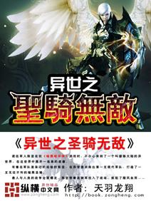 异世之圣骑无敌txt下载