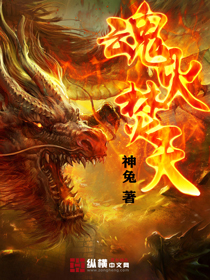 魂火焚天txt下载