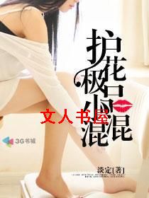 护花极品小混混
