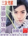 从淫贼到侠客