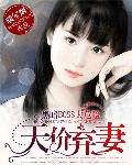 霸道BOSS太危险:天价弃妻