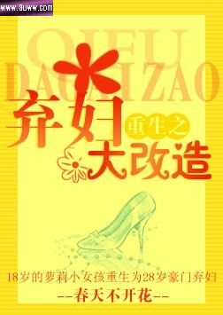 重生之弃妇大改造