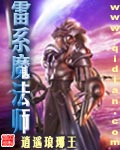 雷系魔法师txt下载