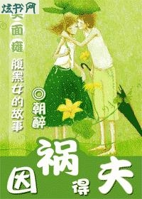 因祸得夫txt下载