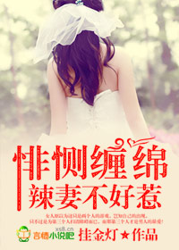 悱恻豪门,辣妻不好惹txt下载