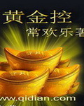黄金控txt下载