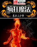 疯狂魔法txt下载