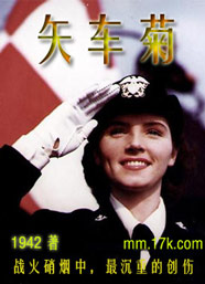 矢车菊 征文txt下载