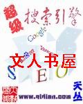 超级搜索引擎txt下载