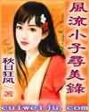 风流小子寻美录