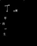 丁甲的一生