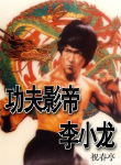 功夫影帝李小龙txt下载