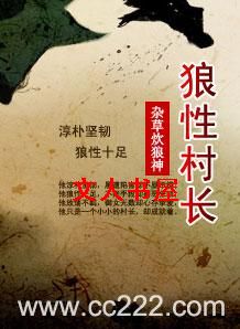 狼性村长txt下载