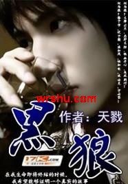 杀手之王纵横都市:黑狼txt下载