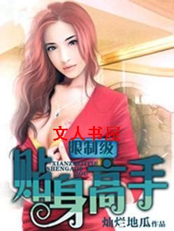 限制级贴身高手
