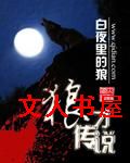 狼才传说