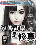家传武学是修真txt下载