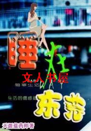 在东莞txt下载