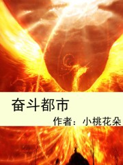 奋斗都市txt下载