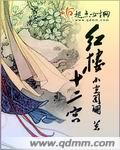 红楼十二宫