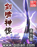 剑啸神惊txt下载