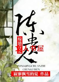 综清穿之陈贵人txt下载