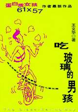 吃玻璃的男孩txt下载