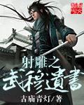 射雕之武穆遗书txt下载