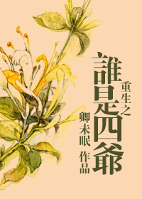 重生之谁是四爷