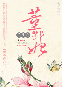 重生之董鄂妃