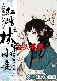 红楼之林家小妾txt下载