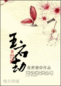 玉石劫