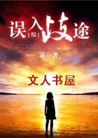 [综]误入歧途txt下载