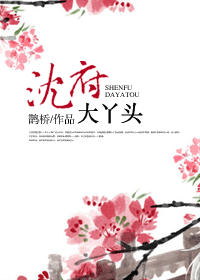 沈府大丫头