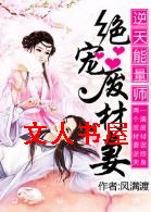 逆天能量师:绝宠废材妻