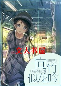 [网王]向竹似龙吟txt下载