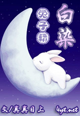 兔子精白染