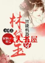 红楼之智能机器人穿林黛玉