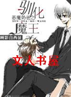 恶魔奶爸之驯化魔王